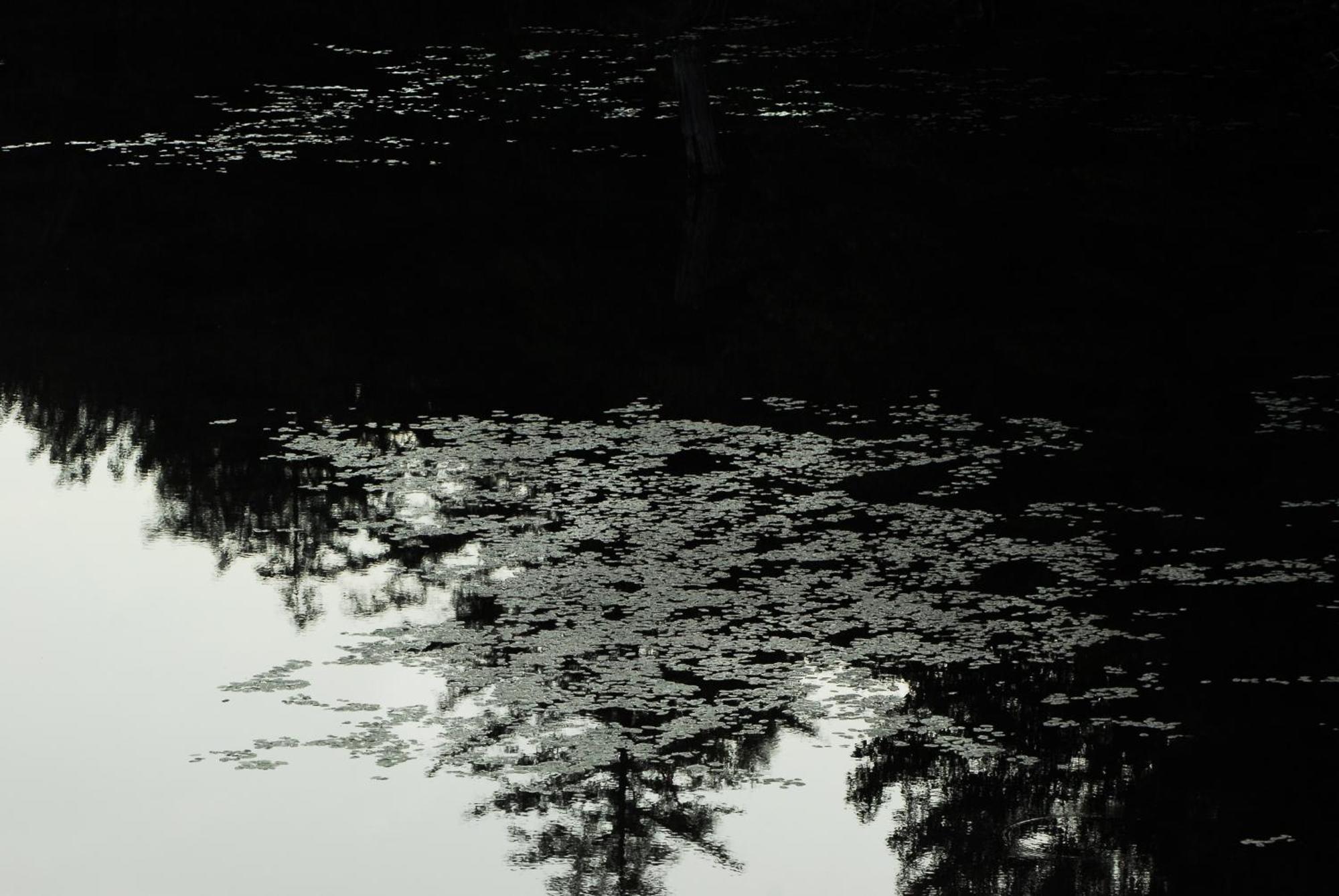 松树小屋假日公园 Oxtongue Lake 外观 照片